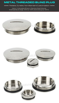 304, 316 Stainless Steel (Brass) Round or Hexagonal Blind Plugs Blanking Plugs with PG7~PG48 & M12~M110 threads