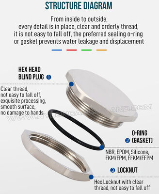 Nickel-Plated Brass Metal Blind Plug IP68 c/w Locknut & O-ring, Hex or Round, PG7-PG48, for Sealing Enclosures