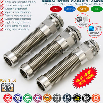 ストレイン リリーフ付きのAISI 316L、AISI 316、AISI 304 ステンレス鋼 PG スパイラル ケーブル グランド (IP68)